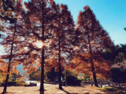 Shanshangju Chinese Inn (Lushan Cableway Entrance Upper Station)