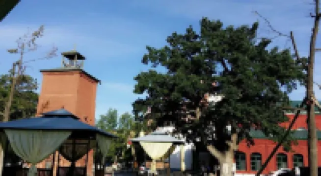 塔城地區貝拉賓館（領館街店） 塔城市酒店