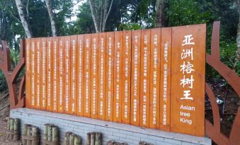 Homeinn Pebble Hotel (Jianlong Avenue)