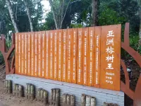 如家派柏·雲酒店（見龍大道店） 鄰近定安縣圖書館的酒店