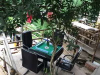 Wawushan Tongda Farm Stay Hotel a Hongya