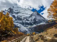 Thank You Inn (Dacheng Yading Scenic Area)