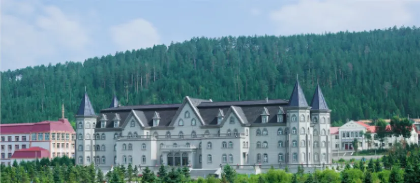 Beijibing Blueberry Winery (Mohe Amuer Main Store)