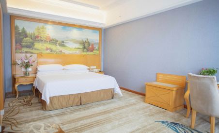 Vienna International Hotel - Housity