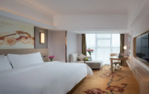 Vienna International Hotel (Shaoyang Dahan Pedestrian Street)