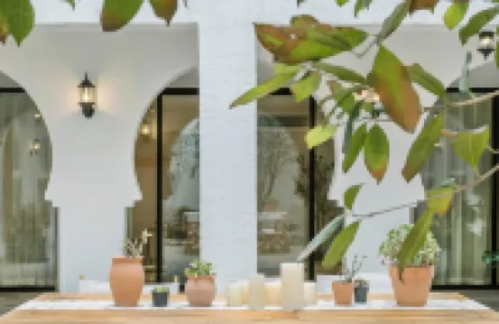 li quan mo shang hua kai