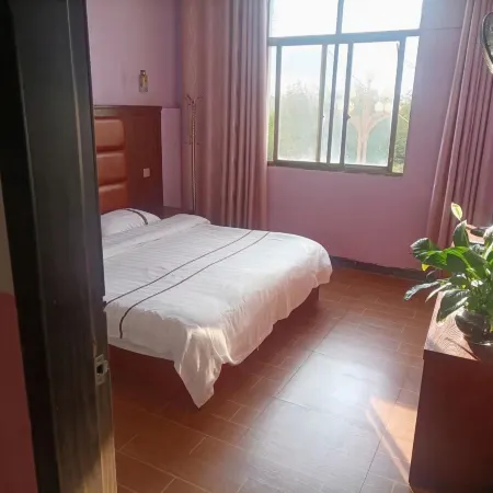 Venus Apartment