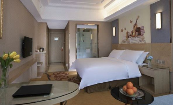 Vienna International Hotel (Taoyuan Longba) - Housity