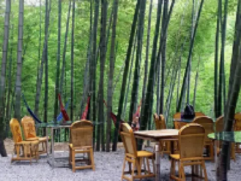 龍吟山莊（蜀南竹海景區店）