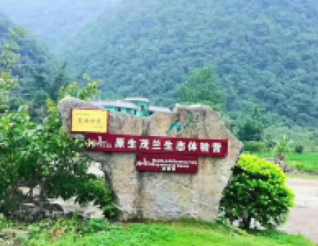 Libo Maolan Yuyue Summer Resort