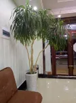 Dunhua city star holiday hotel