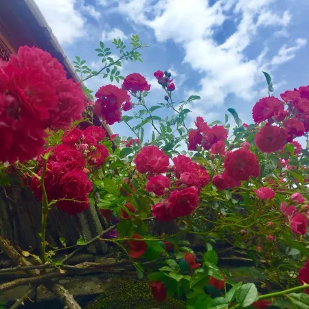 Qinde Inn Yixian Hongcun Sheying Family