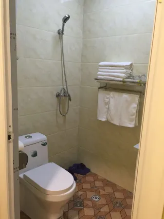 Weixian Qingya Hotel