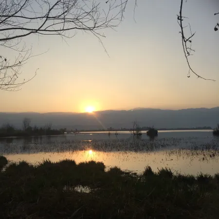 Sujia Inn