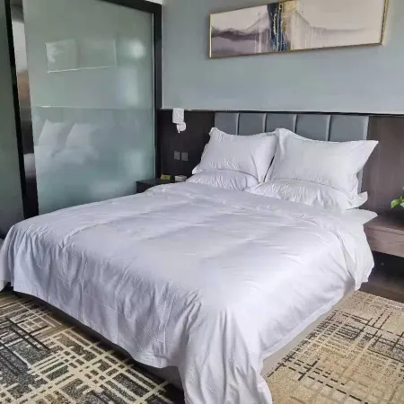 Zhiyi Hotel (Lanzhou Xigu High-speed Railway Station)