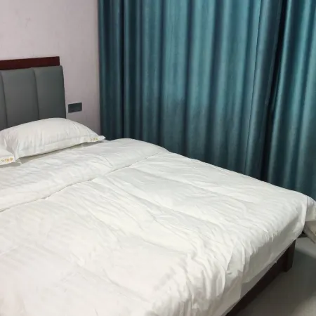 1+1 Stylish Homestay