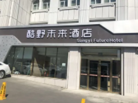 Songyi Future Hotel (Urumchi Airport) Hôtels à proximité de l'Aéroport international d'Ürümqi Diwopu