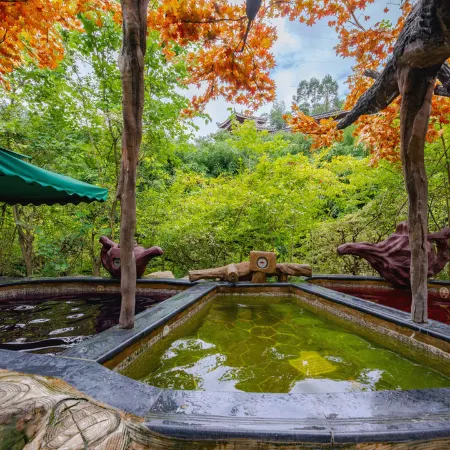 Longmen Shuidu Yangxin Valley Hot Spring Hotel