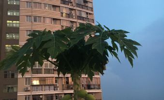 Bishui Lantian Apartment - Hizvo
