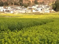 Miyi Hongrun Farmhouse