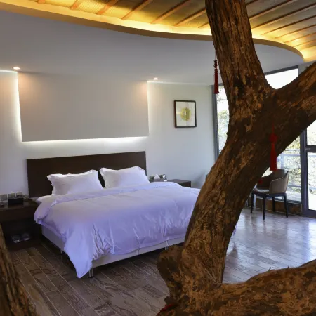 Yinxin'gu Treehouse Hotel