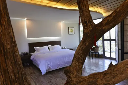 Yinxin'gu Treehouse Hotel Отели рядом с достопримечательностью «Anfu Temple (liubowengulilvyoujingqu)»