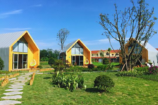 查看所有225张照片