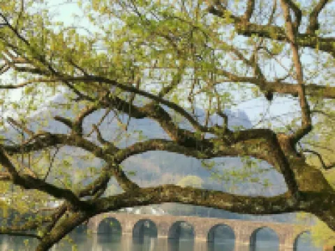 Xiuning Qiyun Garden Homestay Hotels in Xiuning