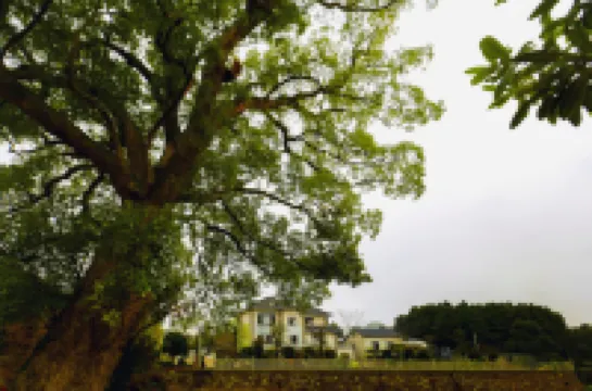 Baxian Yunju B&B in Yueyang County