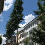 Qingshuang Inn - Inns