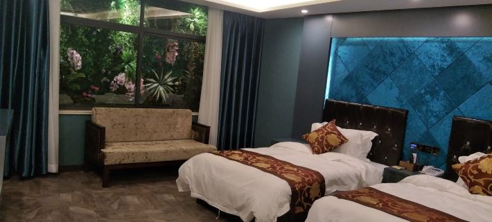 Pingli Dongxing Theme Hotel Отели в г. Пинли