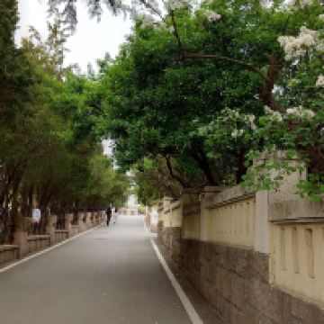 評論圖片 8