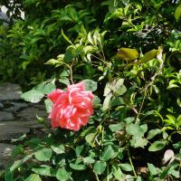 評論圖片 4
