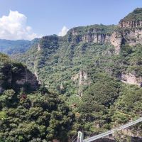 評論圖片 5