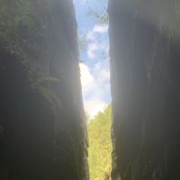 評論圖片 5
