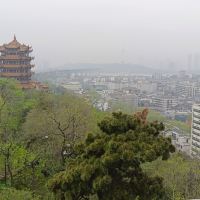 評論圖片 2