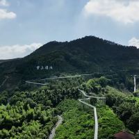 評論圖片 5