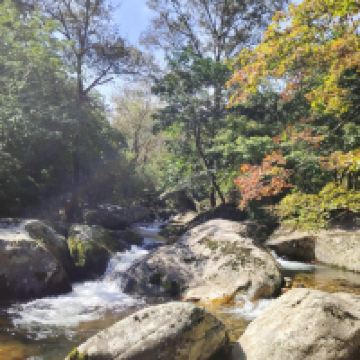 評論圖片 6