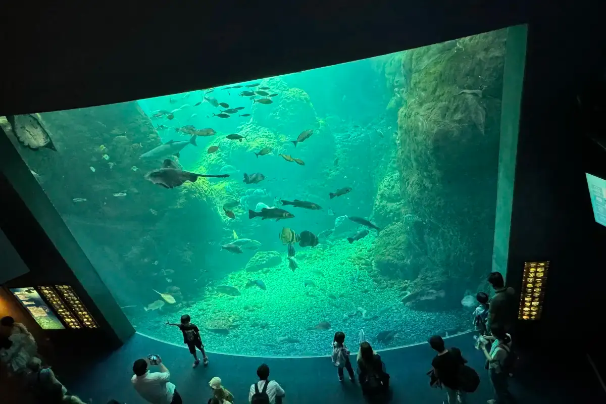 Enoshima Aquarium