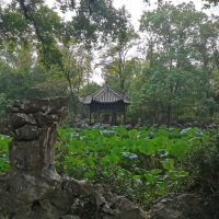 評論圖片 6