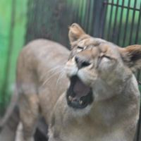 評論圖片 3