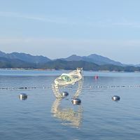 評論圖片 7