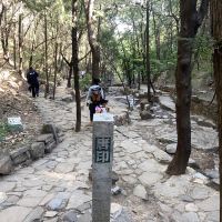 評論圖片 2