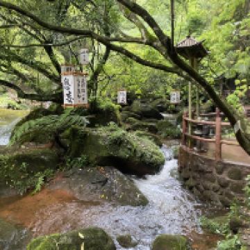 評論圖片 7