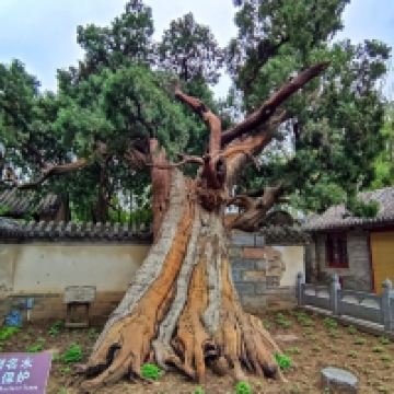 評論圖片 7