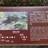 評論圖片 1