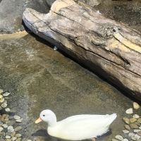 評論圖片 5