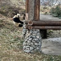 評論圖片 1