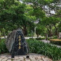 評論圖片 3