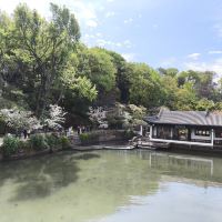 評論圖片 2